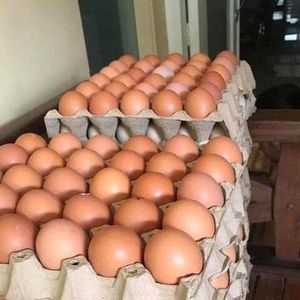 Yemas de Huevo de Gallina Orgánicas Naturales 60g, Calidad Fresca de Granja, Gran Sabor para Desayunos, Repostería, Postres y Comidas Nutritivas - Product Image 6