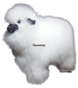Peluche Super Douce et Mignonne en Fourrure d'Alpaga de l'Himalaya, Ppunchay du Pérou - Product Image 1