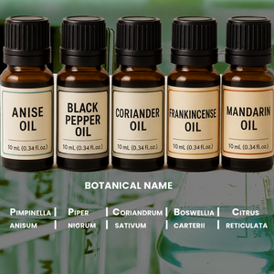 Lot de Gros d'Huiles Essentielles Naturelles à 100% : Anis, Coriandre, Encens, Mandarine Douce - Coffret Cadeau en Gros OEM - Product Image 4