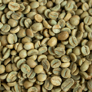 Café vert Arabica du Vietnam, taille 18, grains de café crus, café biologique, export en vrac, café de haute qualité, importateurs de café - Product Image 3