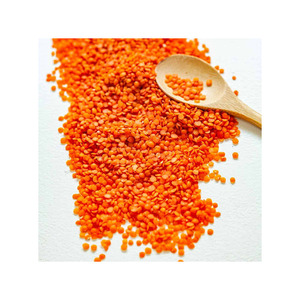 Lentilles rouges de qualité supérieure fraîches - Teneur nutritive élevée, distribution en vrac pour la revente au détail - Product Image 1