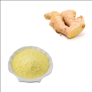 High Quality <b>Ginger</b> Root Extract Gingerol 5% <b>Ginger</b> <b>Powder</b> - Product Image 1