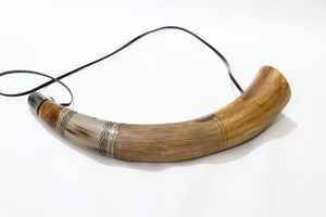 Corne sonore de bataille polie, élégante décoration d'intérieur et souvenir - Product Image 4