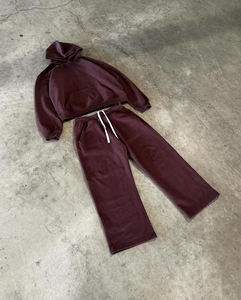 Conjunto Deportivo Personalizado de Felpa de Algodón 100 % de 500 g/m², Ecológico, para Invierno, Sudadera con Capucha y Pantalones Deportivos Lisos Unisex - Product Image 4