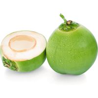 Groothandel Verse Kokosnoot Jonge Kokosnoot 100% Natuurlijke Goedkope Prijs Van Vietnam Oem Verpakking