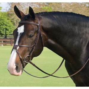 Bride de cheval avec bande de front de mode Bride de haute qualité avec bande de front exclusive NEW Horse Black fantaisie Leather Bridle - Product Image 1