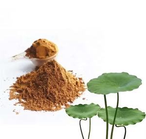 توريد المصنع ، مسحوق الطعام من الدرجة الغذائية ، خلاصة جذور اللوتس - Product Image 3