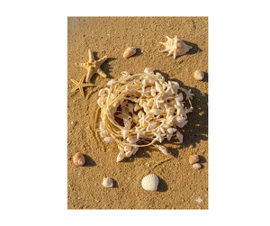 Premium Handmade Daisy <b>Bracelet</b> Vietnam Resin <b>Flower</b> Jewelry Light Weight Cute Style For Wholesale Buyers - Product Image 1