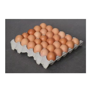 Huevos de gallina de mesa empaquetados con cuidado y frescura, suministro a granel de huevos de mesa premium - Product Image 4