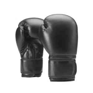Gants de boxe professionnels de 12 oz pour MMA, Muay Thai, entraînement de combat, gants de frappe disponibles à prix avantageux - Product Image 1
