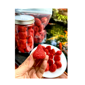 Tranches croquantes de fraises du Vietnam avec douceur naturelle et texture vibrante, exportées dans le monde entier en quantités massives - Product Image 4
