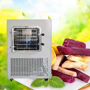 Pequena máquina de secagem a vácuo de carne, pequena máquina de secagem de congelamento de alimentos em aço inoxidável/frutas secas, vegetais, ervas, carne