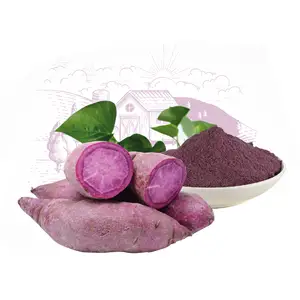 2023红薯粉专业出口土豆批发商低价新鲜土豆