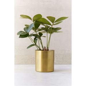 Pot de fleurs décoratif en métal plaqué cuivre de luxe en gros, bol à plantes avec support en métal amovible, décoration de jardin d'intérieur personnalisée - Product Image 6