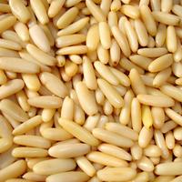Beste prijs groothandel topkwaliteit natuurlijke rauwe pijnboompitten US oorsprong bulk vacuüm verpakte zakken gezonde snack