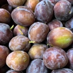 Prugnas Frescas Premium - Exportación Clase I - Variedades Victoria Morada Dulce y Diamante Negro - Alto Contenido de Brix 12%+ - Fruta con Semillas - Product Image 2
