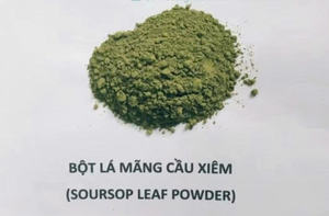 FABRICANTE DE VIETNAM SUMINISTRO SOURSOP HOJAS EN POLVO - Product Image 4