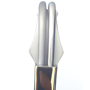 Retractor de Fibra Óptica Manual de Acero Inoxidable con Certificación CE 2026, Instrumento Quirúrgico de Alta Precisión para Uso General - Product Image 3