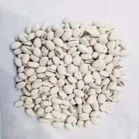 Complément Herbal Premium : Extrait Naturel de Graines de Kounch de Haute Qualité, Poudre Conditionnée en Fût, Qualité Alimentaire, Extraite par Solvant
