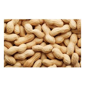 Best Quality Groundnuts Kernels High Protein Raw <b>Peanuts</b> For Sale - Product Image 2