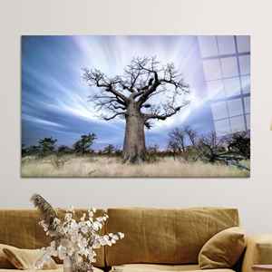 Impresión en lienzo de árbol de baobab: obra de arte de paisaje natural africano, arte en vidrio templado - Product Image 1