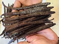 Fèves de vanille de qualité supérieure, séchées, 100% naturelles, en provenance du Sri Lanka