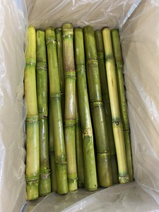 IQF Frozen Sugarcane, Fresh Taste Sugarcane <b>Stick</b> for Juice, Mocktails, Wholesale Sugarcane for Summer Drink Juice - Product Image 5