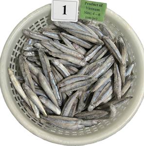 Anchoas Azules Enteras Congeladas de Vietnam, 24 Meses de Vida Útil, IQF/BQF, Selladas al Vacío, para Exportación, Empaque a Granel - Product Image 3