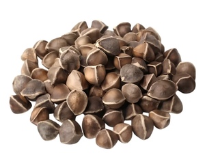Graines de Moringa Sauvage Séchées Entières, Qualité Alimentaire, Naturelles, Biologiques et 100% Pures - Product Image 4