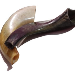 Z Crafts' 100% Natural Pulido Ram Horn Shofar Tamaño pequeño Estilo náutico inspirado en animales Precio - Product Image 3