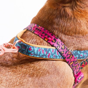 Arneses de Lujo para Perros Norwegian Softer-Walk, Colección Farm Rio Selva, Tallas Pequeña, Mediana y Grande, Arnés de Poliéster Moderno para Pasear Perros - Product Image 5