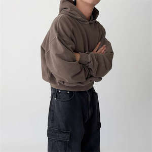 Pull à capuche court de coupe régulière pour hommes surdimensionnés et lourds avec logo de broderie personnalisé 100% coton automne écologique - Product Image 1