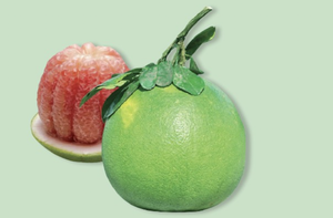 ส้มโอเขียวพรีเมี่ยมเวียดนามคุณภาพสูง - Product Image 5