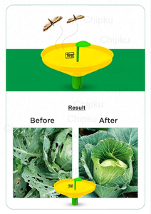 ที่ดักน้ำเป็นมิตรต่อสิ่งแวดล้อมเครื่องขุดใบมะเขือเทศ Tuta absoluta lucin dBm TLM ควบคุมศัตรูพืชควบคุมชีวภาพใช้ฟีโรโมน - Product Image 2