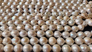 Hebras de perlas cultivadas de arroz de agua dulce blanco de alta calidad, cuentas naturales sin tratar para hacer joyas, cambio de Color, DIY, sueltas - Product Image 4