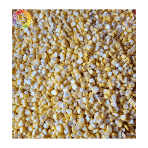 Processus de congélation de haute qualité maïs sucré entier IQF bouilli délicieux grains blancs jaunes pour l'industrie alimentaire approvisionnement en vrac - Product Image 2