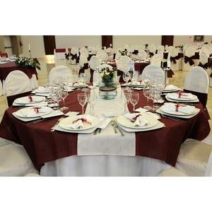 Blue 220x220cm <b>Large</b> Coverage <b>Tablecloth</b> Novotex TNT 25pcs B2B - Product Image 2