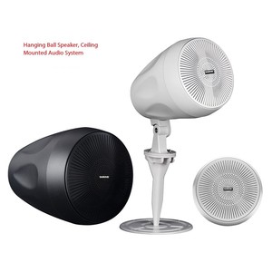 Sistema de Altavoces Colgantes SABINE DL4 DL5, Música Ambiental Profesional, Transmisión de Audio, Altavoces de Techo para Salas de Conferencias - Product Image 2
