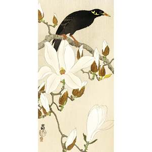 Impresión artística de Myna sobre rama de magnolia de Ohara Koson, elegante patrón de naturaleza muerta - Product Image 1