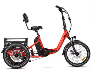 Tricycle électrique E-310 pour adultes 750W 90MI 70Ah UL2849 Etrike Cadre en aluminium pliable 12V 3 roues ENGRENAGES PARFAITS FREINAGE PARFAIT - Product Image 2