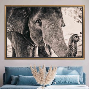 Elephant Tempered Glass Wall Art: Animal Canvas Print,GOLD <b>FRAMED</b> CANVAS - Product Image 1