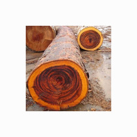 Meilleures ventes, bois de cyprès Hinoki de haute performance, prix des importateurs de bois en rondins