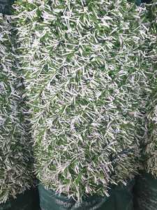 Turkish-Made Green <strong>Boxwood</strong> Artificial Hedge Panels Easy Privacy Cover for Villas for Outdoor Grass Fence