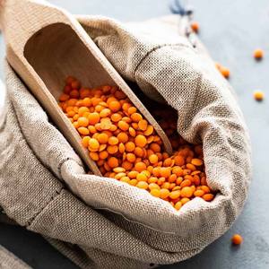 Vente en gros Lentilles Expédition dans le monde entier Prix du fabricant Lentilles à vendre. - Product Image 1