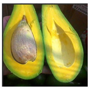 Tropical Frozen Avocado from Vietnam, Rich, Smooth, and Naturally <b>Sweet</b> - Product Image 5