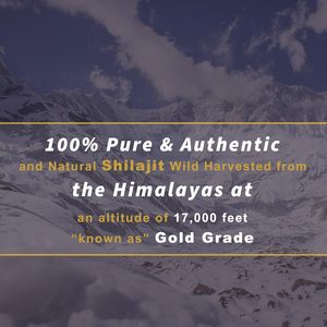 Comprimés de Shilajit de l'Himalaya pur de haute qualité pour le soutien immunitaire et énergétique, avec Ashwagandha, Maca et Mousse de Mer pour Adultes - 60 Comprimés HACCP/GMP - Product Image 3