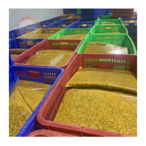 เสาวรสแช่แข็งที่บรรจุสดใหม่-ส่วนผสมชั้นนำสำหรับโรงงานอาหารและบริษัทเครื่องดื่มระดับโลก - Product Image 4