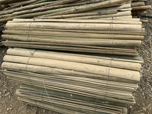 BEST-SELLER Piquets de jardin robustes en bambou naturel, écologiques, personnalisables, Bambou bleu - Product Image 4