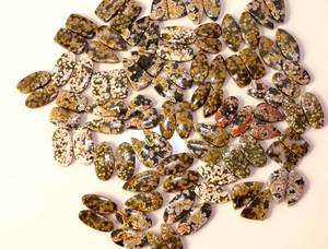 Cabujón de jaspe oceánico Natural de alta calidad, par suelto de piedras preciosas de cuarzo de la India, precio al por mayor para la fabricación de joyas - Product Image 2