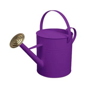Garden Watering <b>Can</b> Blue Powder Coated Galvanized <b>Water</b> Pot Cheap price Metal Watering Cane Wholesale American <b>Water</b> <b>Cans</b> Trendy - Product Image 6
